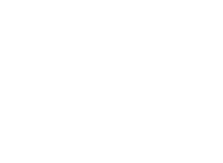 Blue Wave Productions